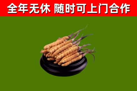 绵竹烟酒回收冬虫夏草.jpg